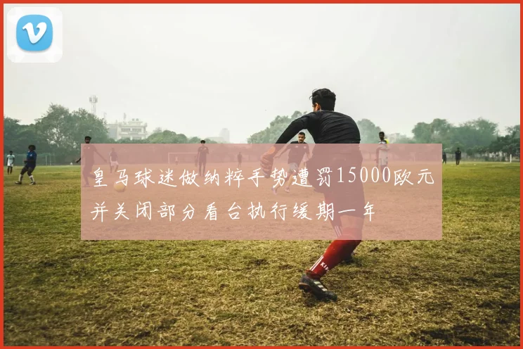 皇马球迷做纳粹手势遭罚15000欧元并关闭部分看台执行缓期一年