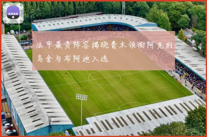 法甲最贵阵容揭晓青木领衔阿克利乌舍与布阿迪入选
