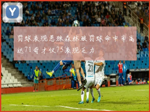 罚球表现悬殊森林狼罚球命中率高达71奇才仅75表现乏力