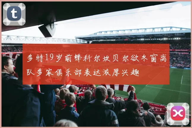 多特19岁前锋科尔坎贝尔欲冬窗离队多家俱乐部表达浓厚兴趣