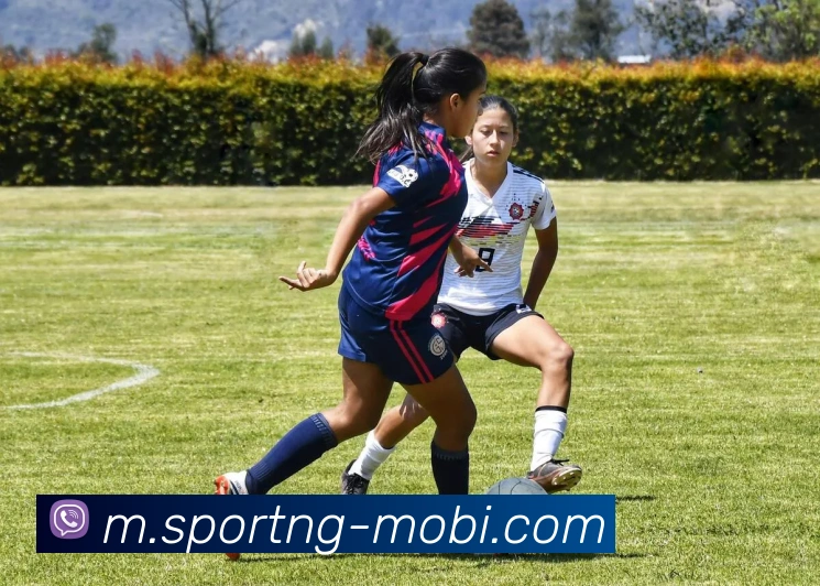 南宫体育平台生态图